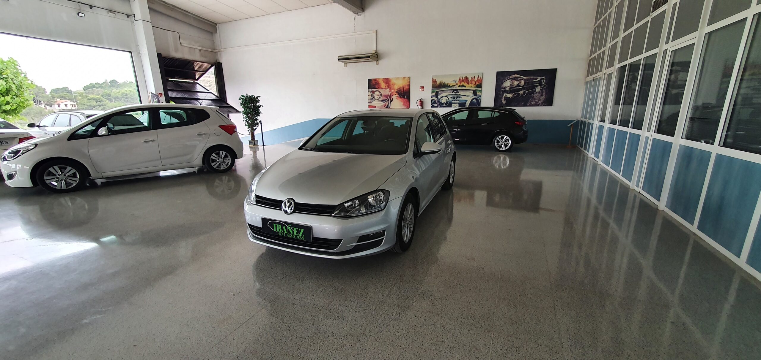 VOLKSWAGEN Golf Advance 1.6 TDI 105cv BMT