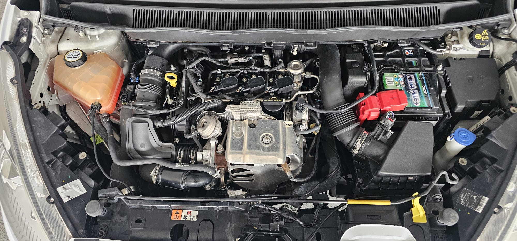 WhatsApp Image 2026-02-13 at 13.05.45 (2)